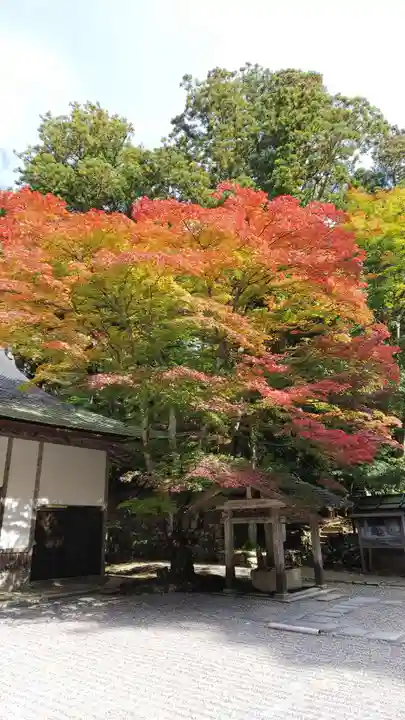 比叡山延暦寺の庭園