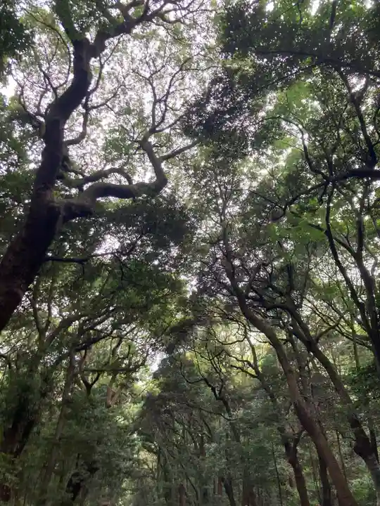明治神宮(東京都)