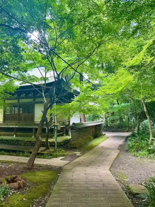 深大寺(東京都)