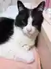 やみゅうさんのプロフィール画像
