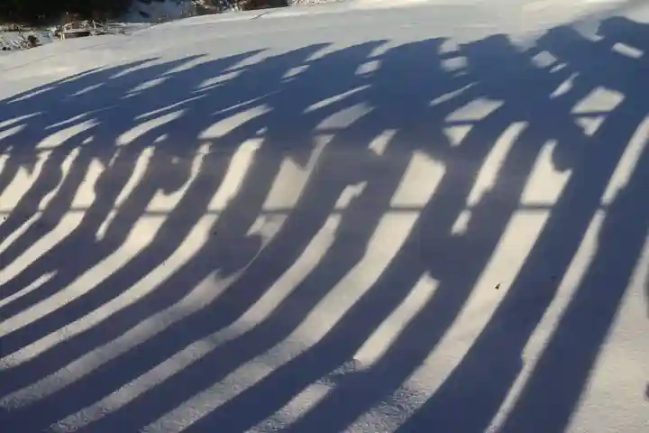 高屋敷稲荷神社の自然