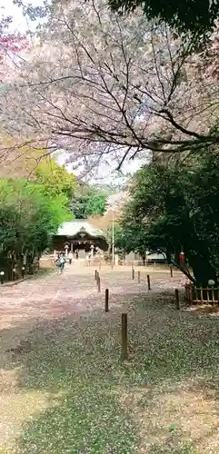 畑子安神社(千葉県)