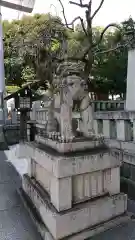 乃木神社の狛犬