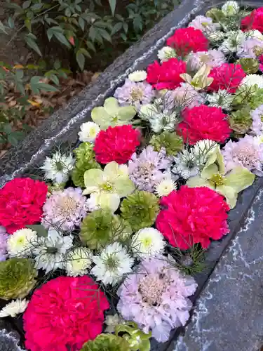 行田八幡神社(埼玉県)