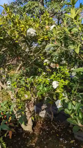 相国寺（相国承天禅寺）(京都府)