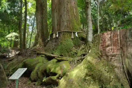 貴船神社の自然