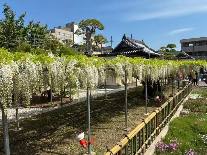 地福寺(徳島県)