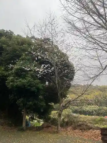 三浦正八幡宮(神奈川県)