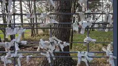 神楽神社のおみくじ