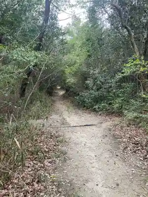 白美龍神社の{uncategorized: "未分類", other: "その他", undefined: "問題あり", building: "その他建物", grave: "お墓", sacred_gate: "鳥居", guardian: "狛犬", statue: "像", buddha: "仏像", history: "歴史", nature: "自然", garden: "庭園", animal: "動物", pagoda: "塔", temizu: "手水舎", mountain_gate: "山門・神門", sanctuary: "本殿・本堂", subordinate: "末社・摂社", art: "芸術", scenery: "景色", jizo: "地蔵", ema: "絵馬", goshuin: "御朱印", omikuji: "おみくじ", items: "授与品その他", amulet: "お守り", goshuincho: "御朱印帳", eats: "食事", festival: "お祭り", votive_dance: "神楽", shichigosan: "七五三参", wedding: "結婚式", experience: "体験その他", initially: "初詣", around: "周辺", anti_infection: "感染症対策"}
