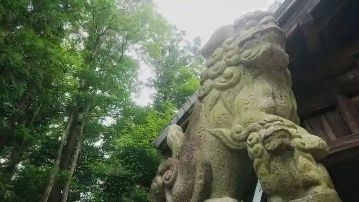 伊久波神社(下三宅)の狛犬