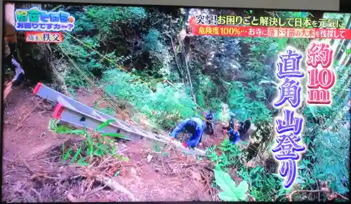 観音院(埼玉県)