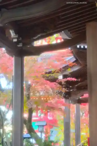 高幡不動尊　金剛寺(東京都)