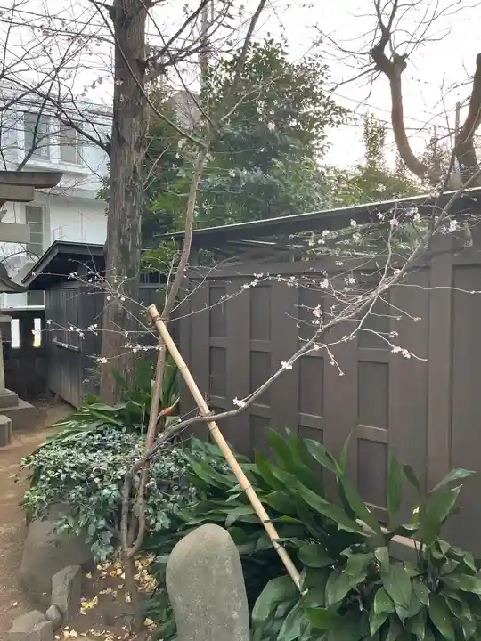奥澤神社の庭園
