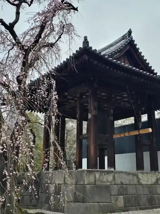 増上寺(東京都)