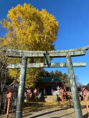 長沼八幡宮(栃木県)