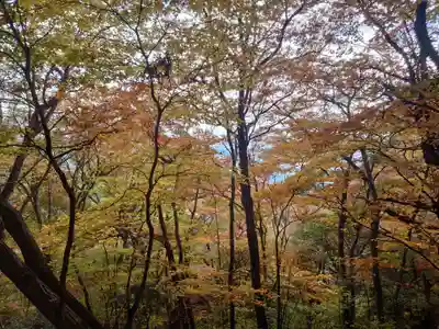 武蔵御嶽神社奥の院の自然