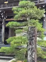 佛木寺の山門・神門