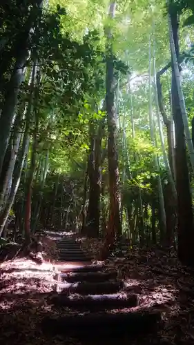 胎蔵寺の景色