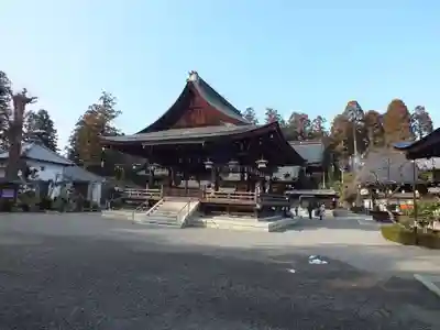 沙沙貴神社の本殿・本堂