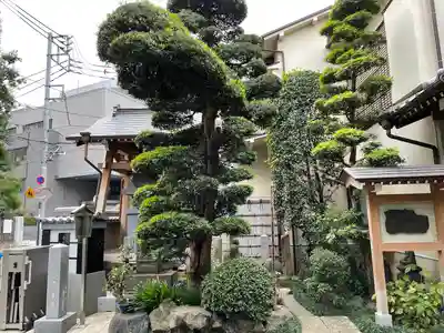 常泉院(東京都)