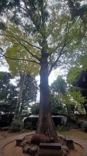 奥澤神社(東京都)