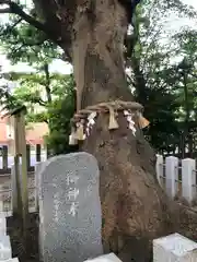 白山神社(福井県)