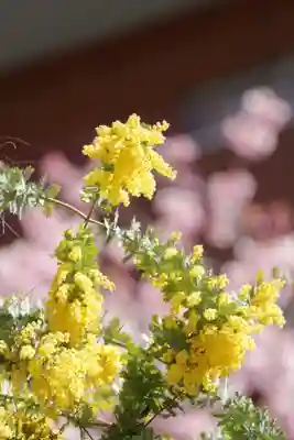 蔵前神社(東京都)
