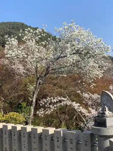 犬山寂光院の自然