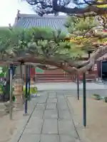 不断寺(大阪府)