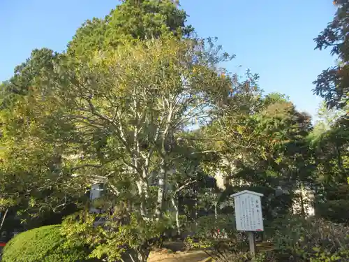 瑞巌寺(宮城県)