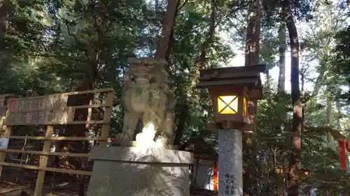 椿大神社の狛犬