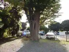 高野山真言宗海龍山本泉寺増徳院(神奈川県)