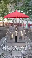 浅草神社の狛犬