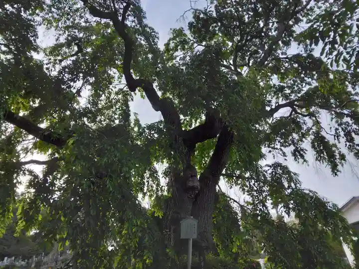 西林寺(神奈川県)