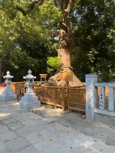 和泉國一之宮　大鳥大社の自然