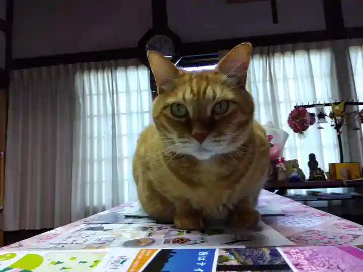 龍岳院(愛知県)