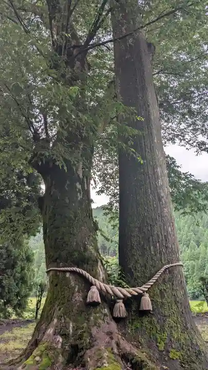 八坂神社(福井県)