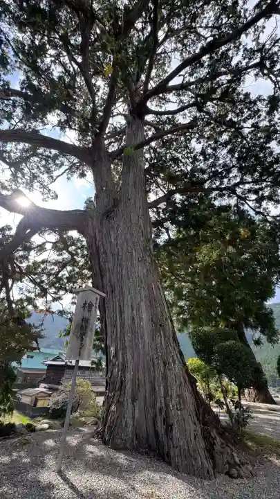 宝蔵寺(三重県)