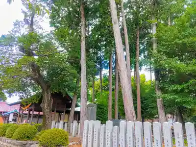 外山神社の自然