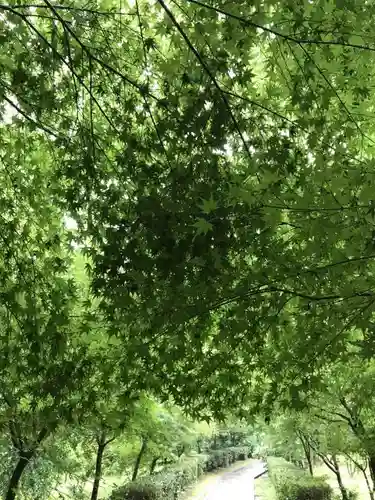 武雄神社の建物その他