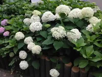 長遠寺(神奈川県)