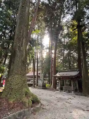 伊和神社(兵庫県)