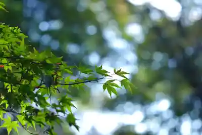吉野神宮(奈良県)