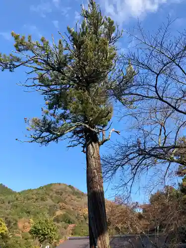 海住山寺(京都府)