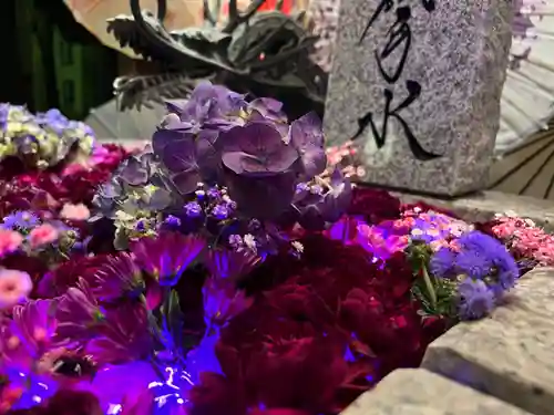 札幌諏訪神社の手水舎