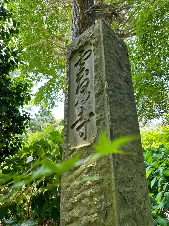 雲昌寺の{uncategorized: "未分類", other: "その他", undefined: "問題あり", building: "その他建物", grave: "お墓", sacred_gate: "鳥居", guardian: "狛犬", statue: "像", buddha: "仏像", history: "歴史", nature: "自然", garden: "庭園", animal: "動物", pagoda: "塔", temizu: "手水舎", mountain_gate: "山門・神門", sanctuary: "本殿・本堂", subordinate: "末社・摂社", art: "芸術", scenery: "景色", jizo: "地蔵", ema: "絵馬", goshuin: "御朱印", omikuji: "おみくじ", items: "授与品その他", amulet: "お守り", goshuincho: "御朱印帳", eats: "食事", festival: "お祭り", votive_dance: "神楽", shichigosan: "七五三参", wedding: "結婚式", experience: "体験その他", initially: "初詣", around: "周辺", anti_infection: "感染症対策"}
