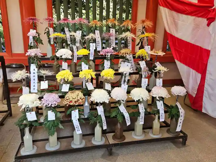 武蔵一宮氷川神社(埼玉県)