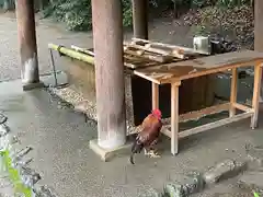 八剣宮（熱田神宮別宮）(愛知県)