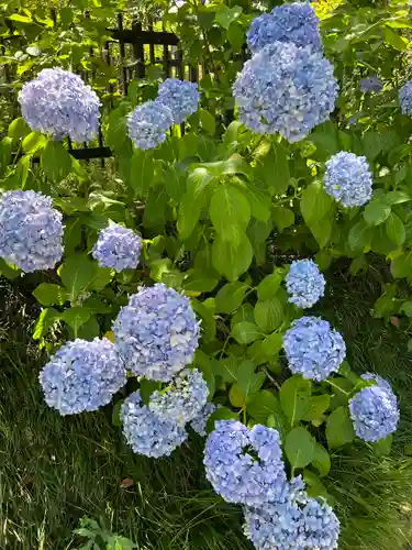 高麗神社の自然
